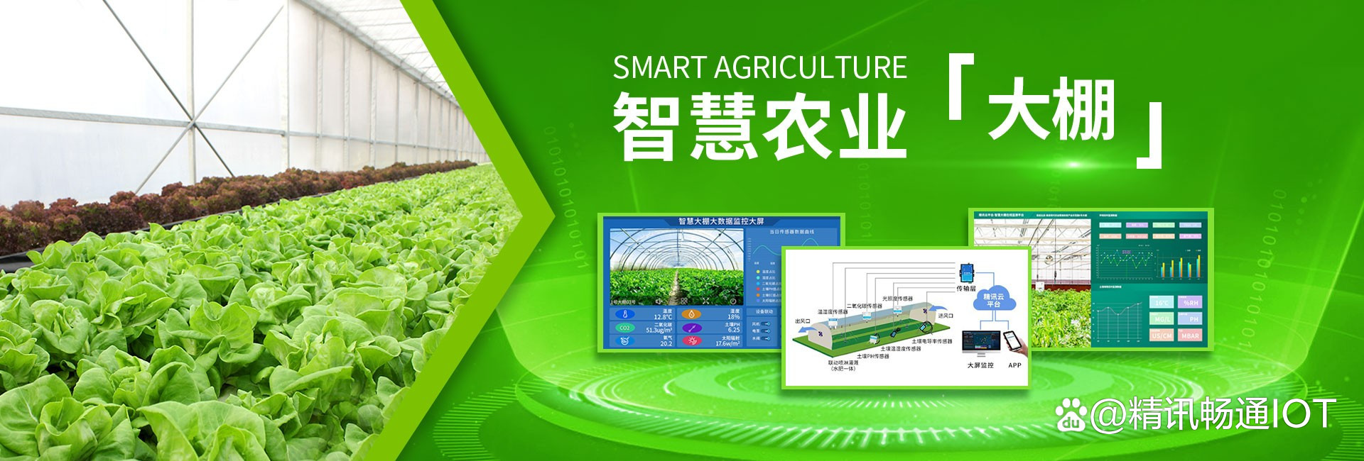 智慧農業 開啟現代農業新紀元——智能農業管理