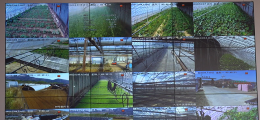 農(nóng)業(yè)農(nóng)村局打造區(qū)域數(shù)字農(nóng)業(yè)發(fā)展新模式 智能農(nóng)業(yè)管理的創(chuàng)新實(shí)踐