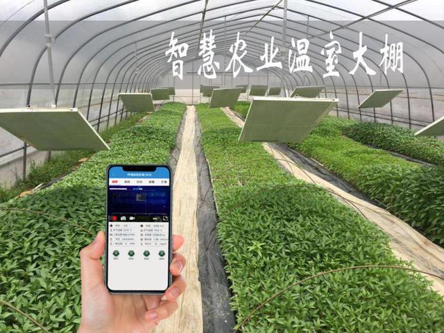 智慧農(nóng)業(yè)解決方案系統(tǒng)概述（二） 農(nóng)業(yè)數(shù)字化與智能化升級(jí)